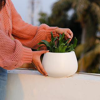 Planters