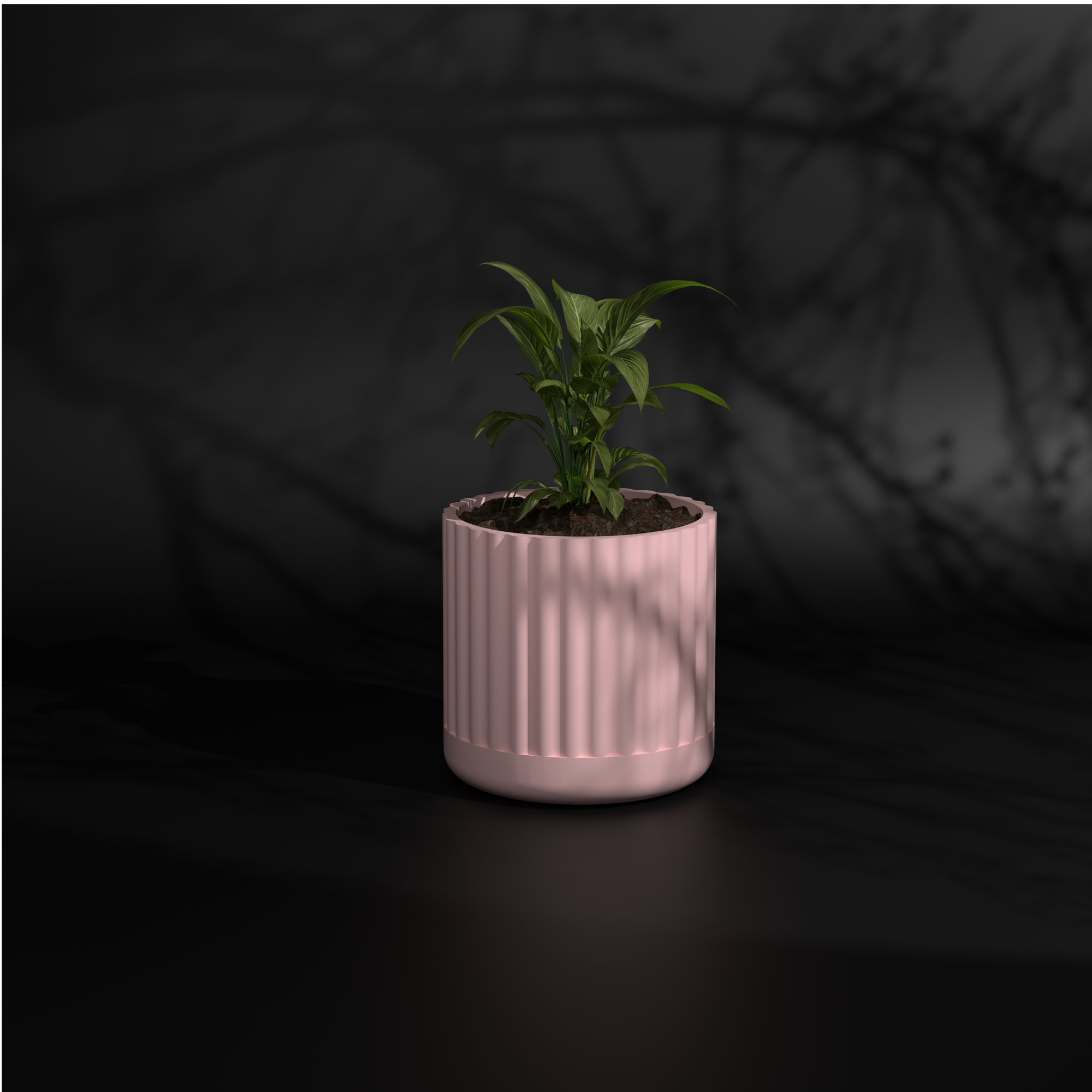 Fluted Polo M | Medium Size Plant Pot
