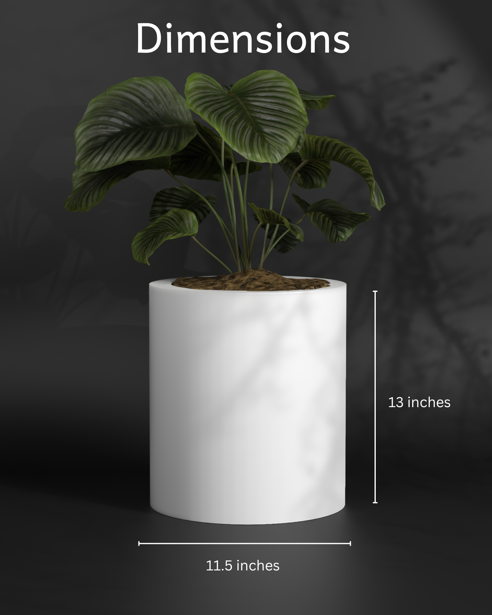 Atada M - FRP planter for indoor and outdoor Gallery by The Workshop