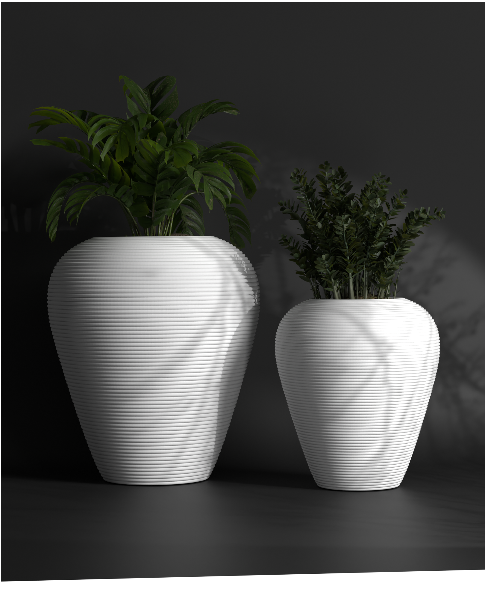Coil L Gallery by The Workshop