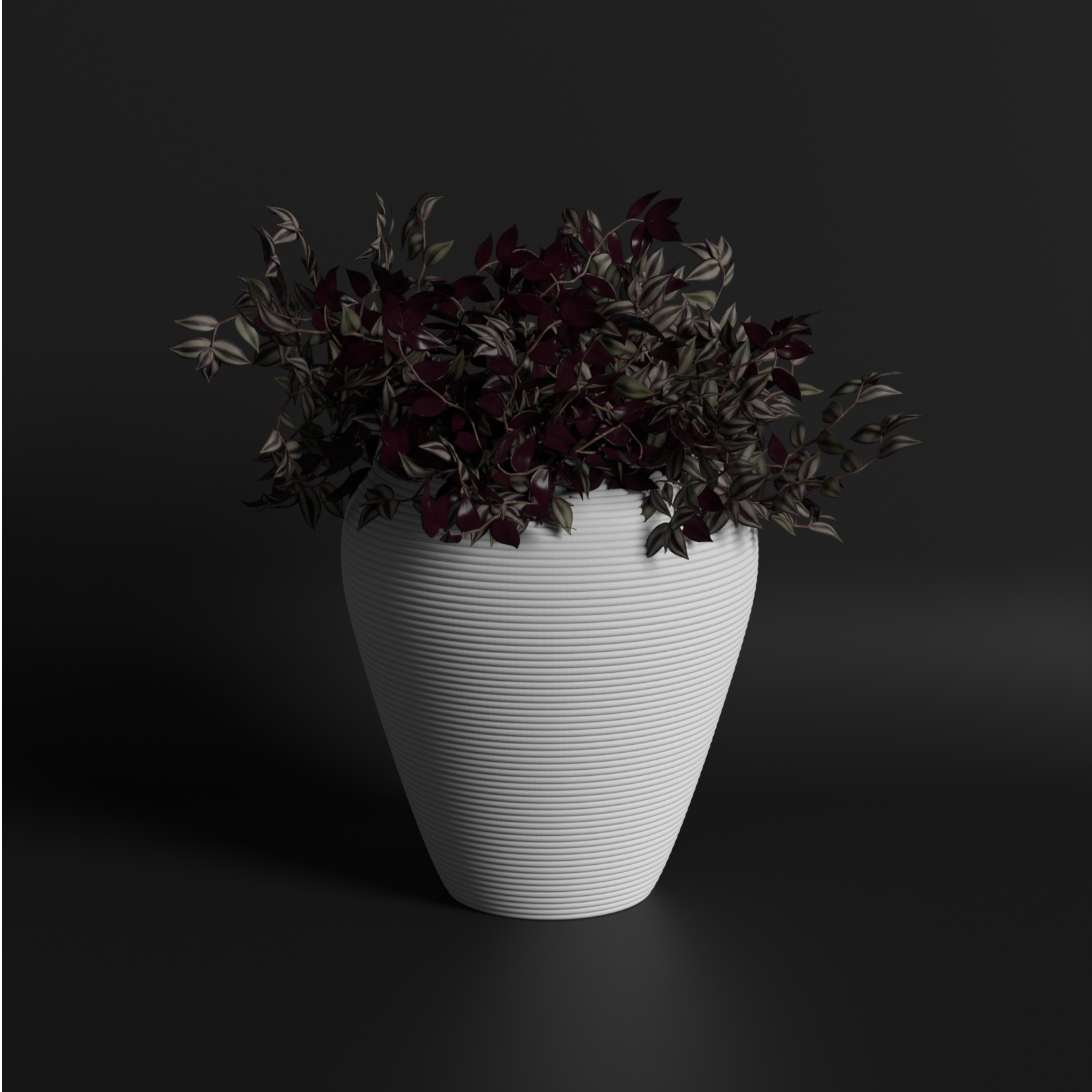 Coil M Gallery by The Workshop