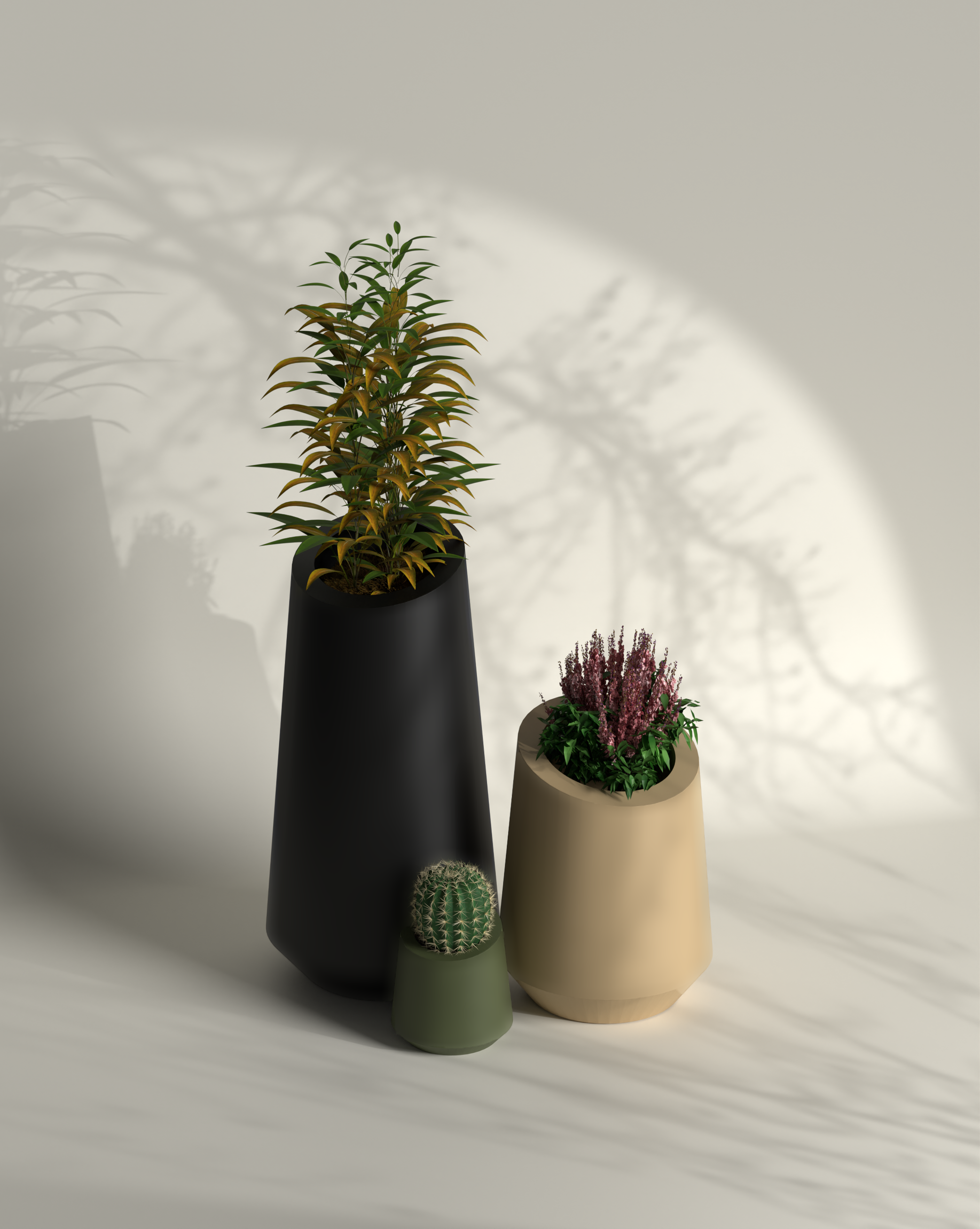 Conetu Combo Gallery by The Workshop