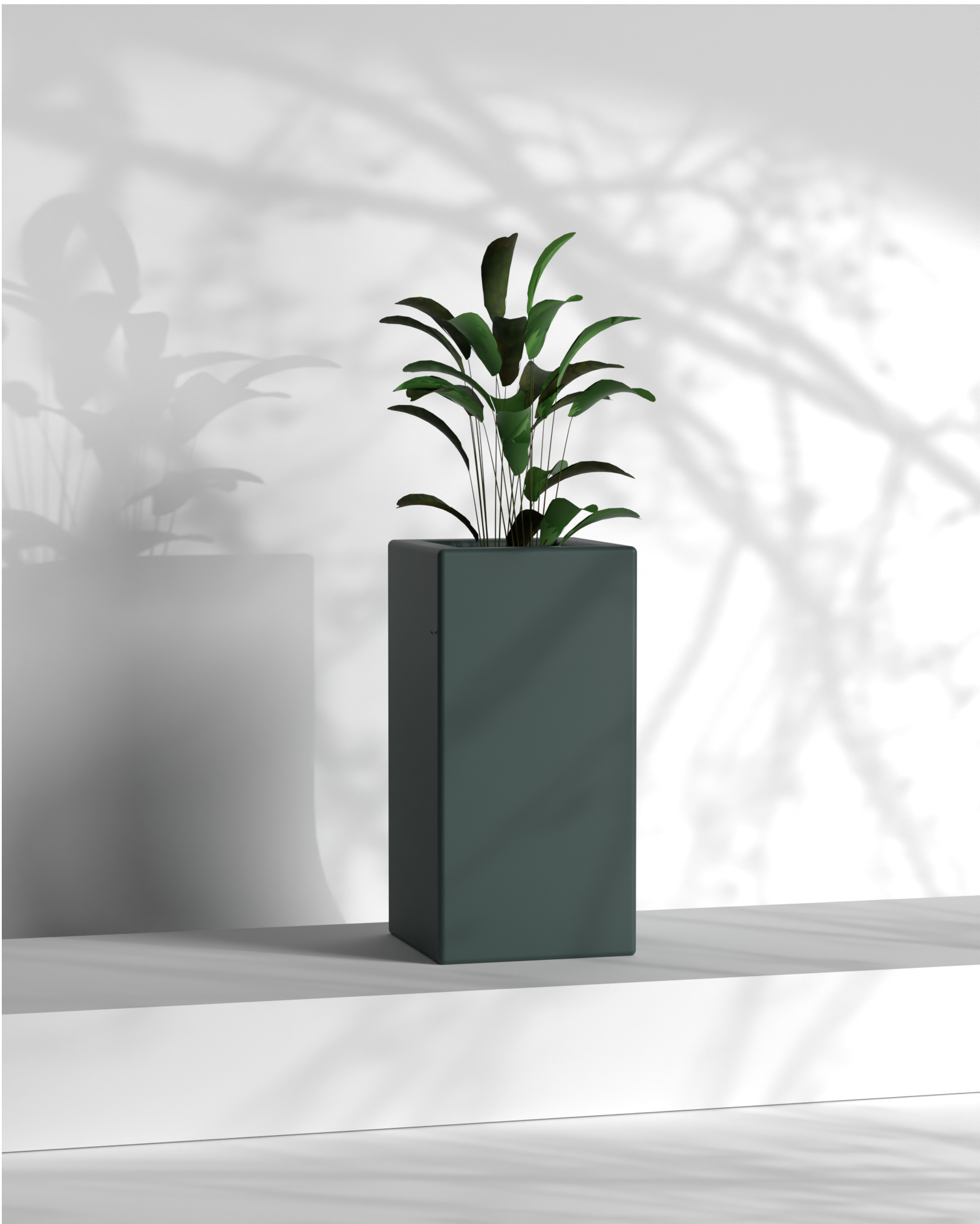 Cubo 12x12x24 Gallery by The Workshop