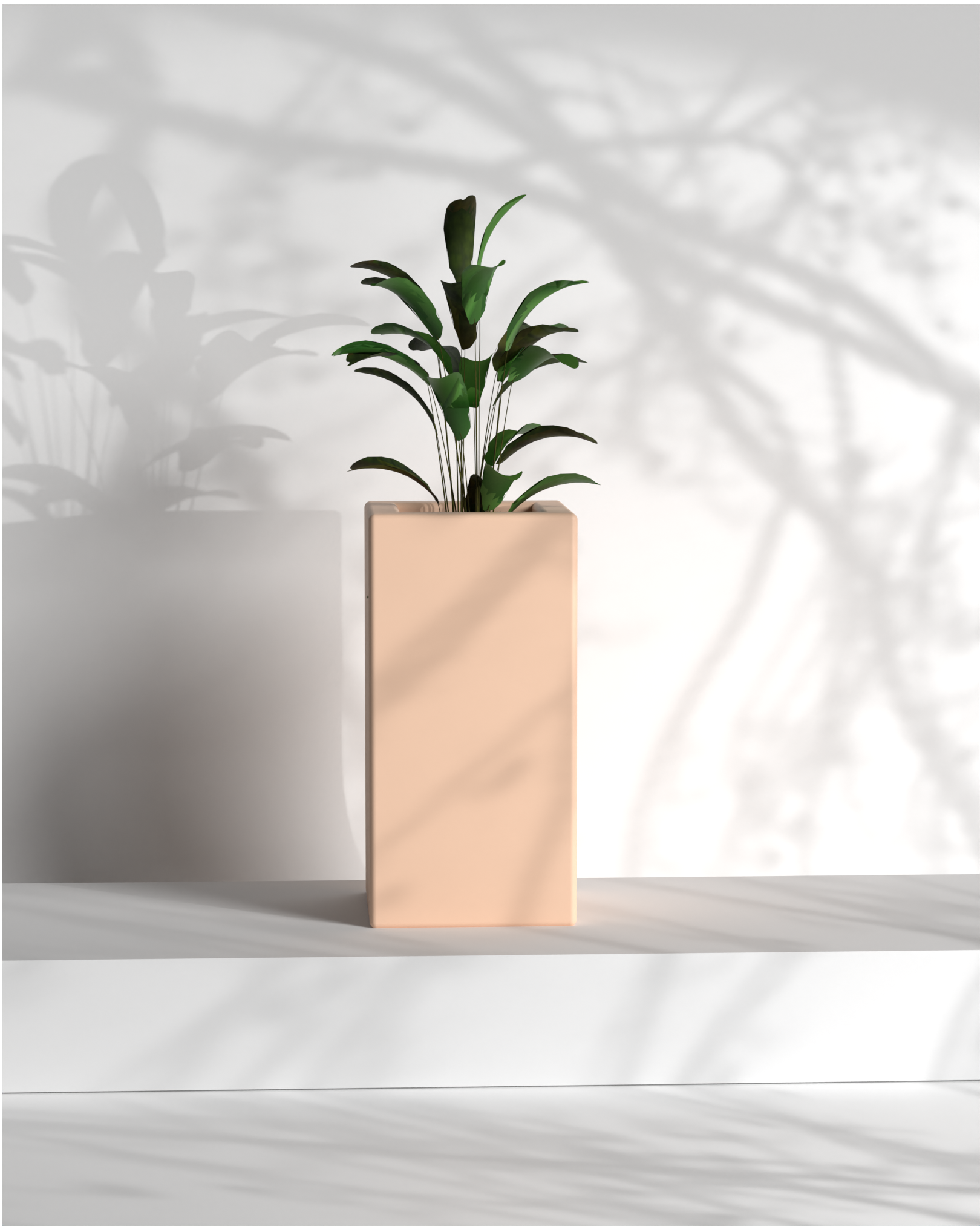Cubo 12x12x24 Gallery by The Workshop
