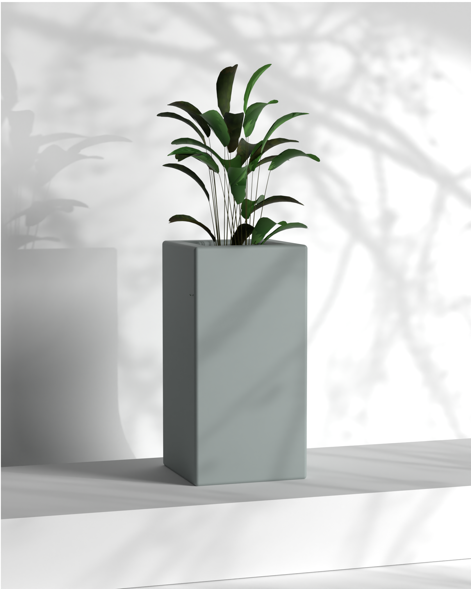 Cubo 12x12x24 Gallery by The Workshop