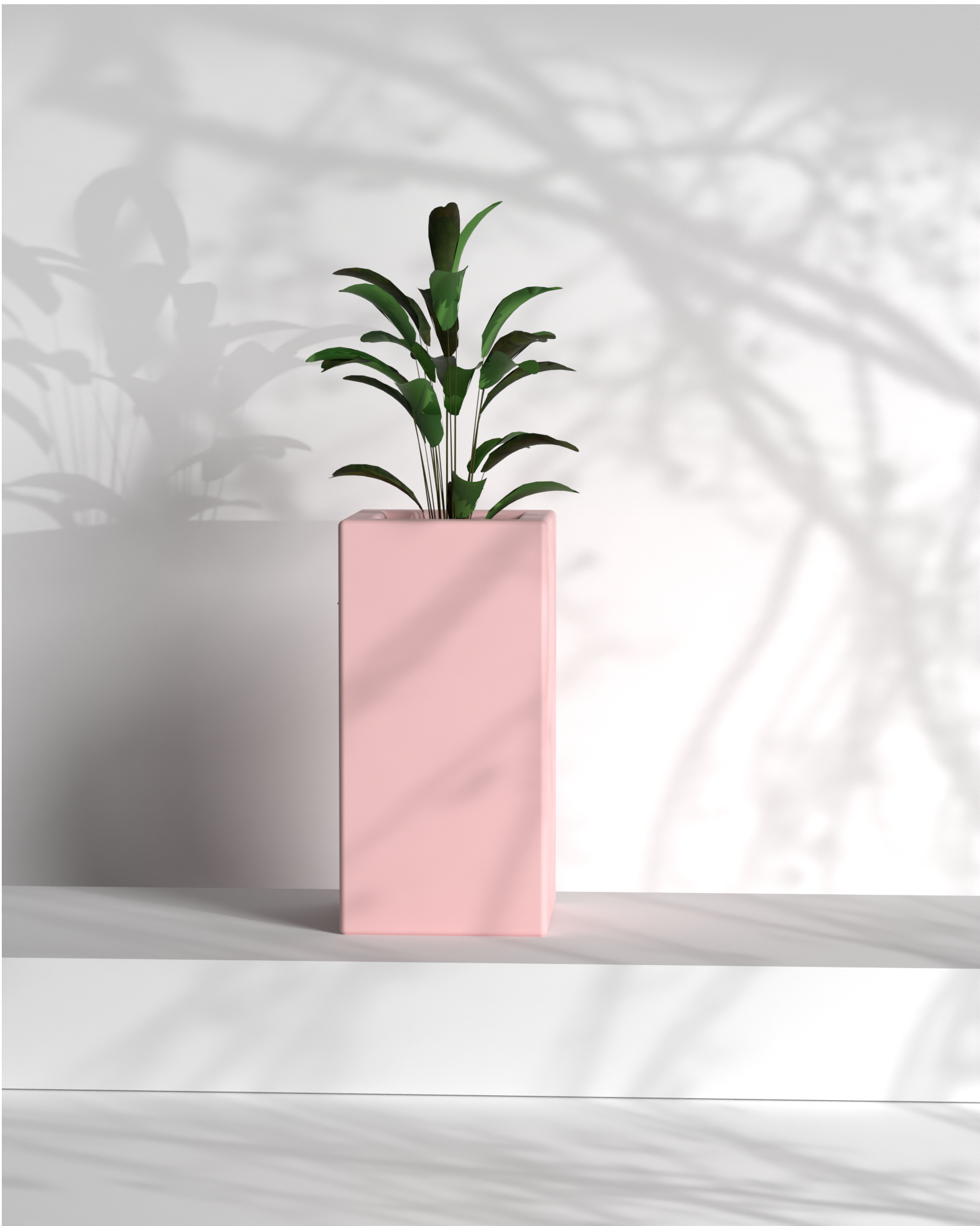 Cubo 12x12x24 Gallery by The Workshop