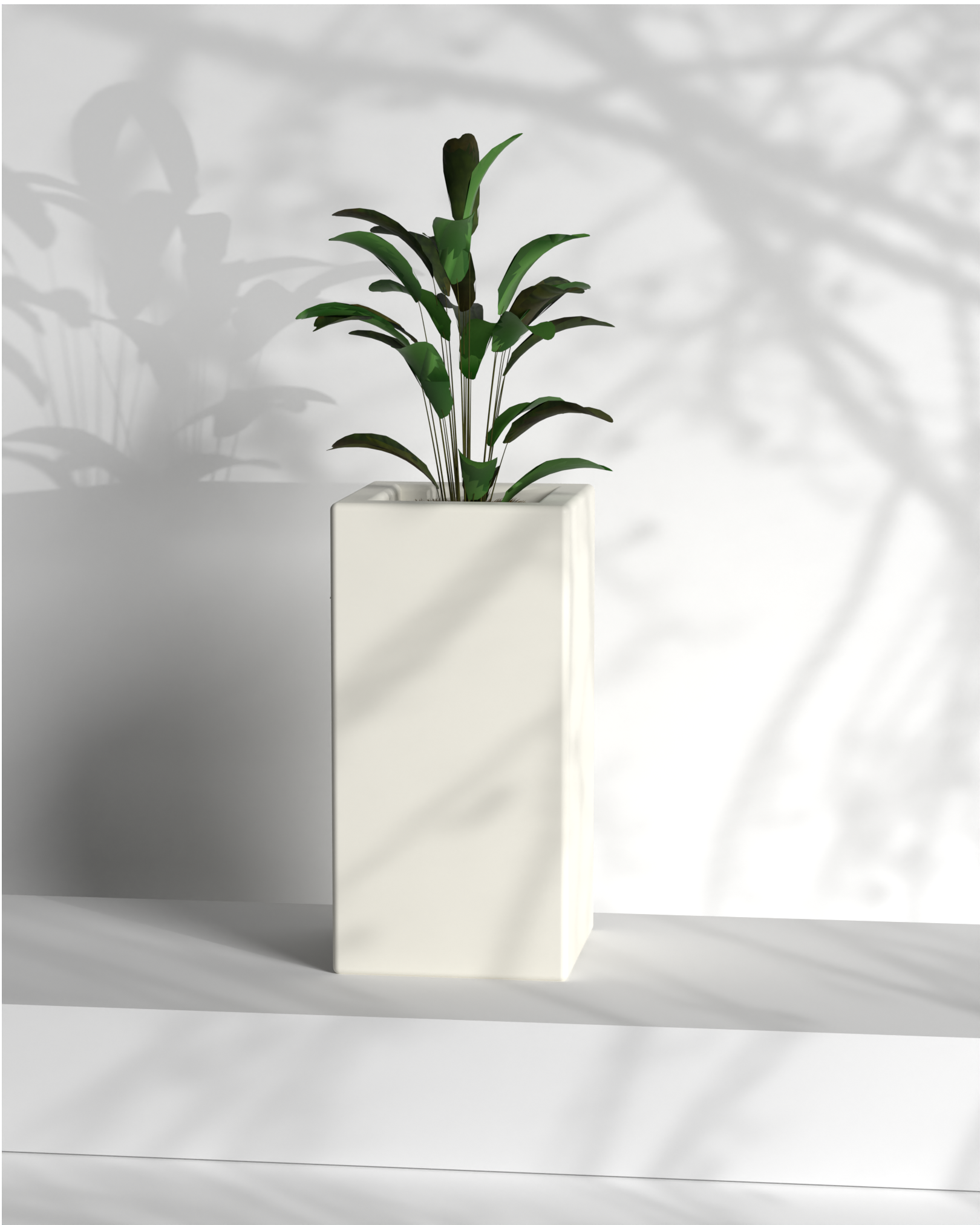 Cubo 12x12x24 Gallery by The Workshop