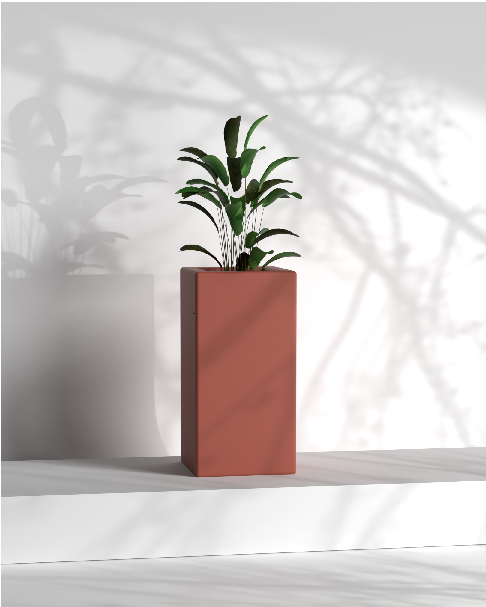 Cubo 12x12x24 Gallery by The Workshop