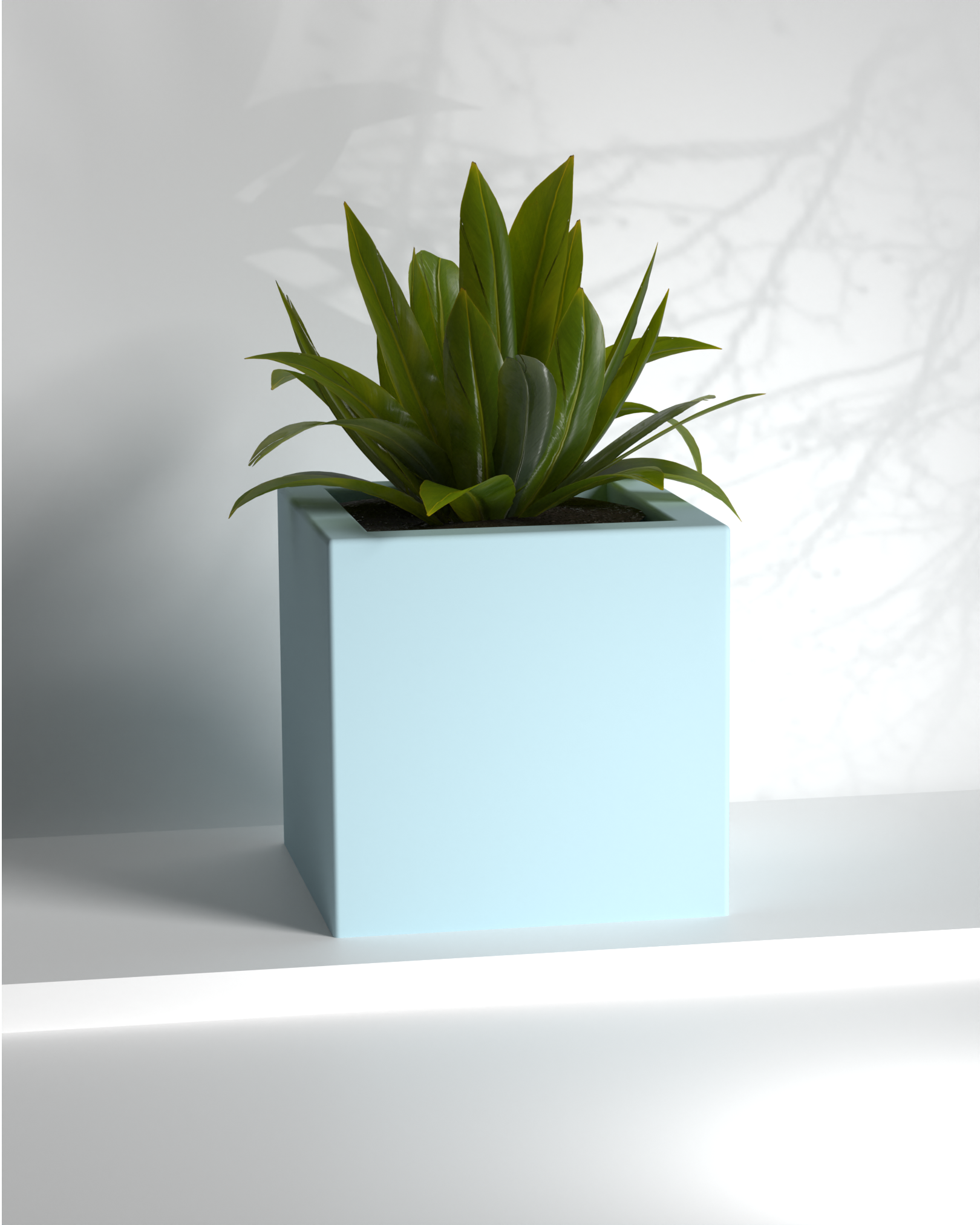 Cubo 24x24x24 Gallery by The Workshop