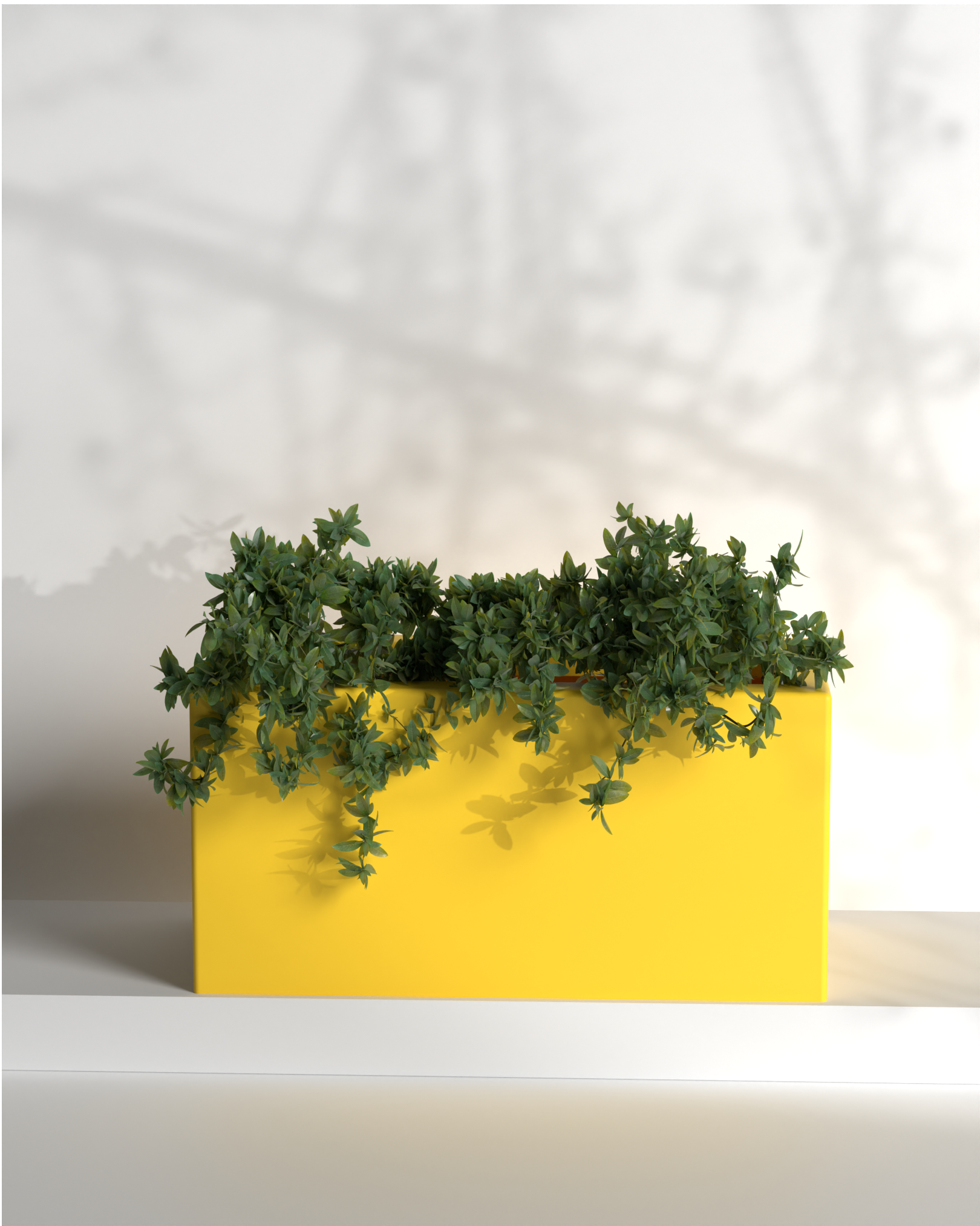 Cubo 36x18x18 Gallery by The Workshop