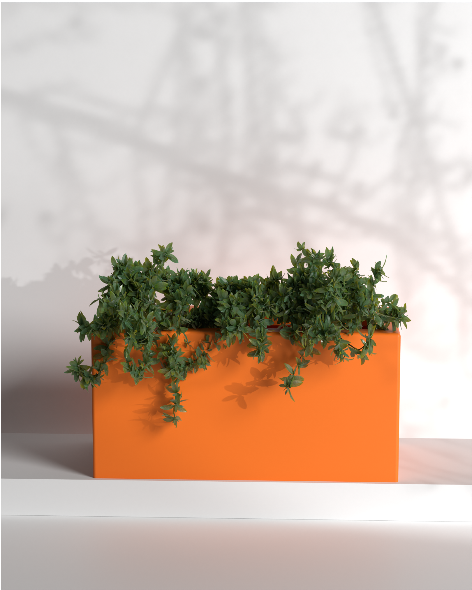 Cubo 36x18x18 Gallery by The Workshop