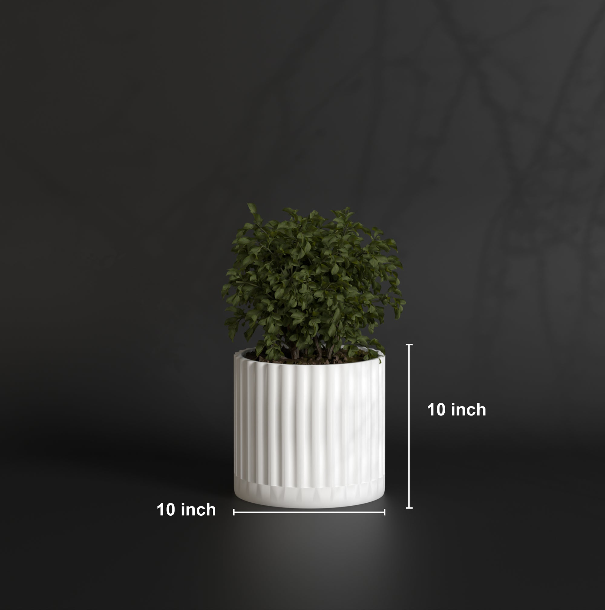 Fluted Polo M | Medium Size Plant Pot