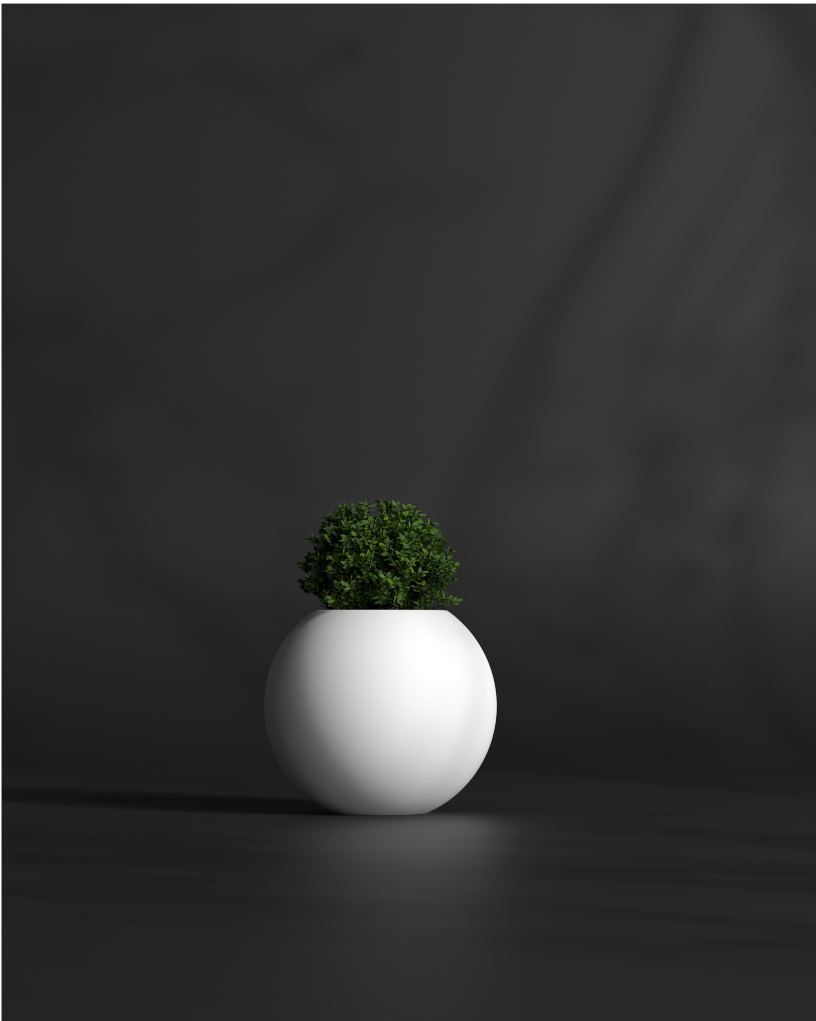 Pearl 7 Gallery by The Workshop