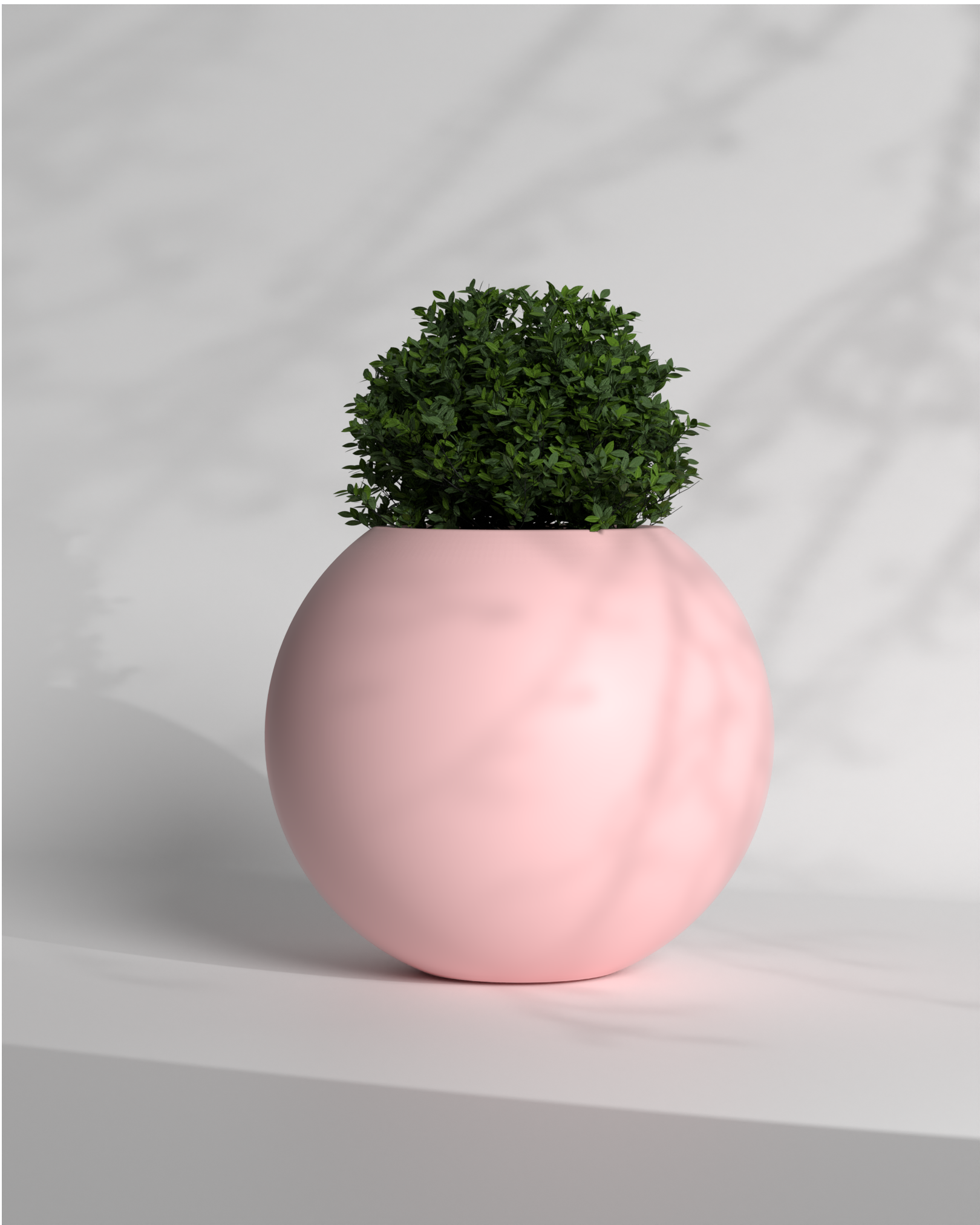 Pearl 7 Gallery by The Workshop
