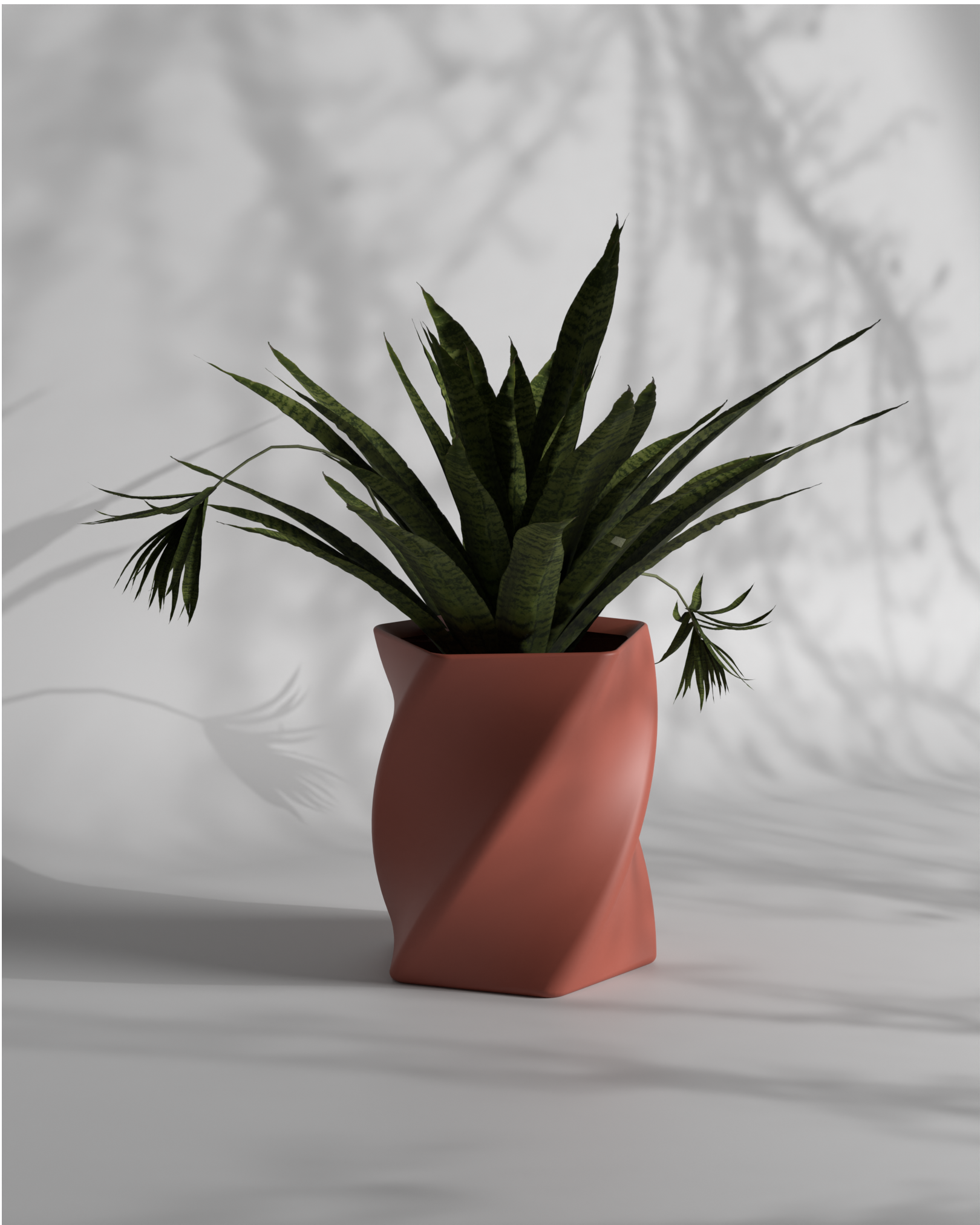 Penta Twist S Gallery by The Workshop