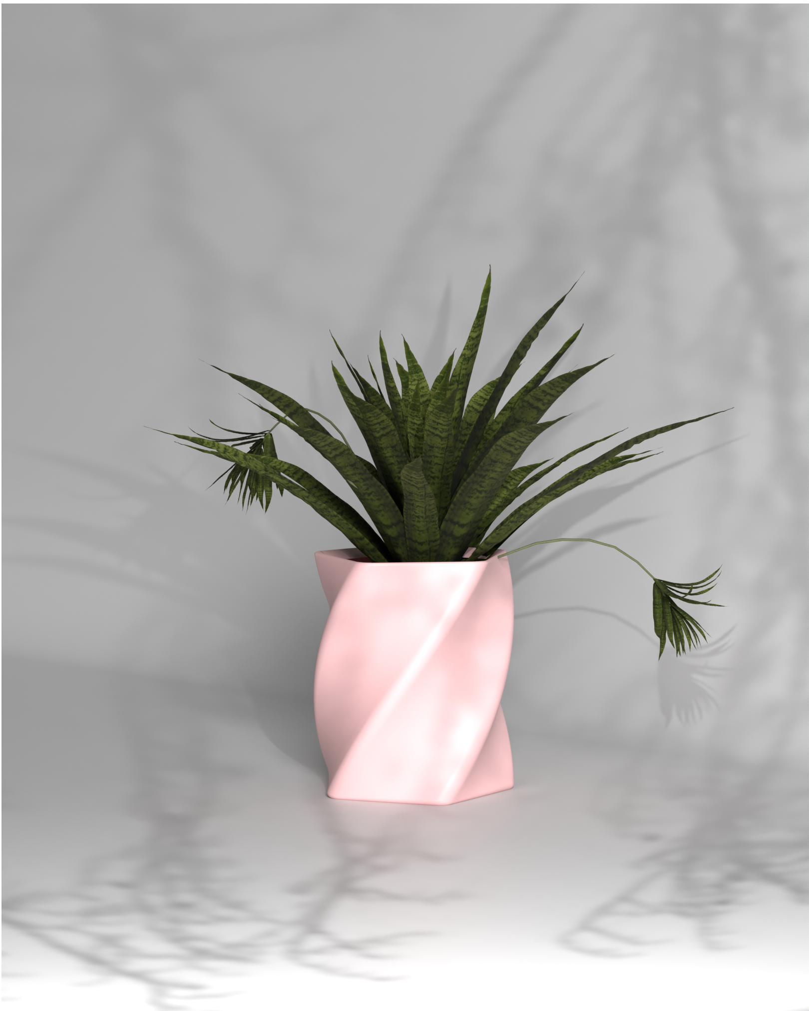 Penta Twist S Gallery by The Workshop