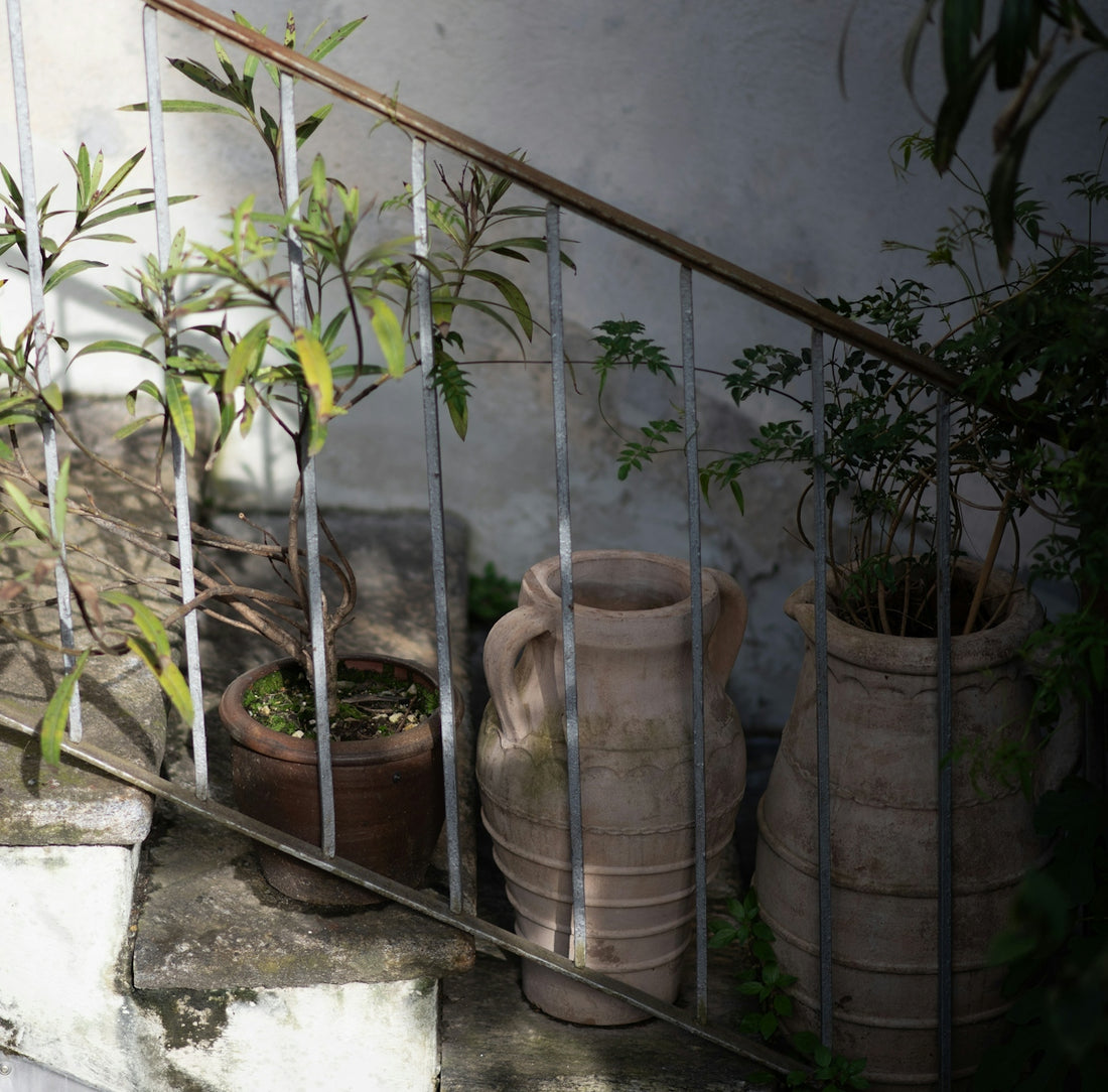 Terracotta urns and potted plants on stairs