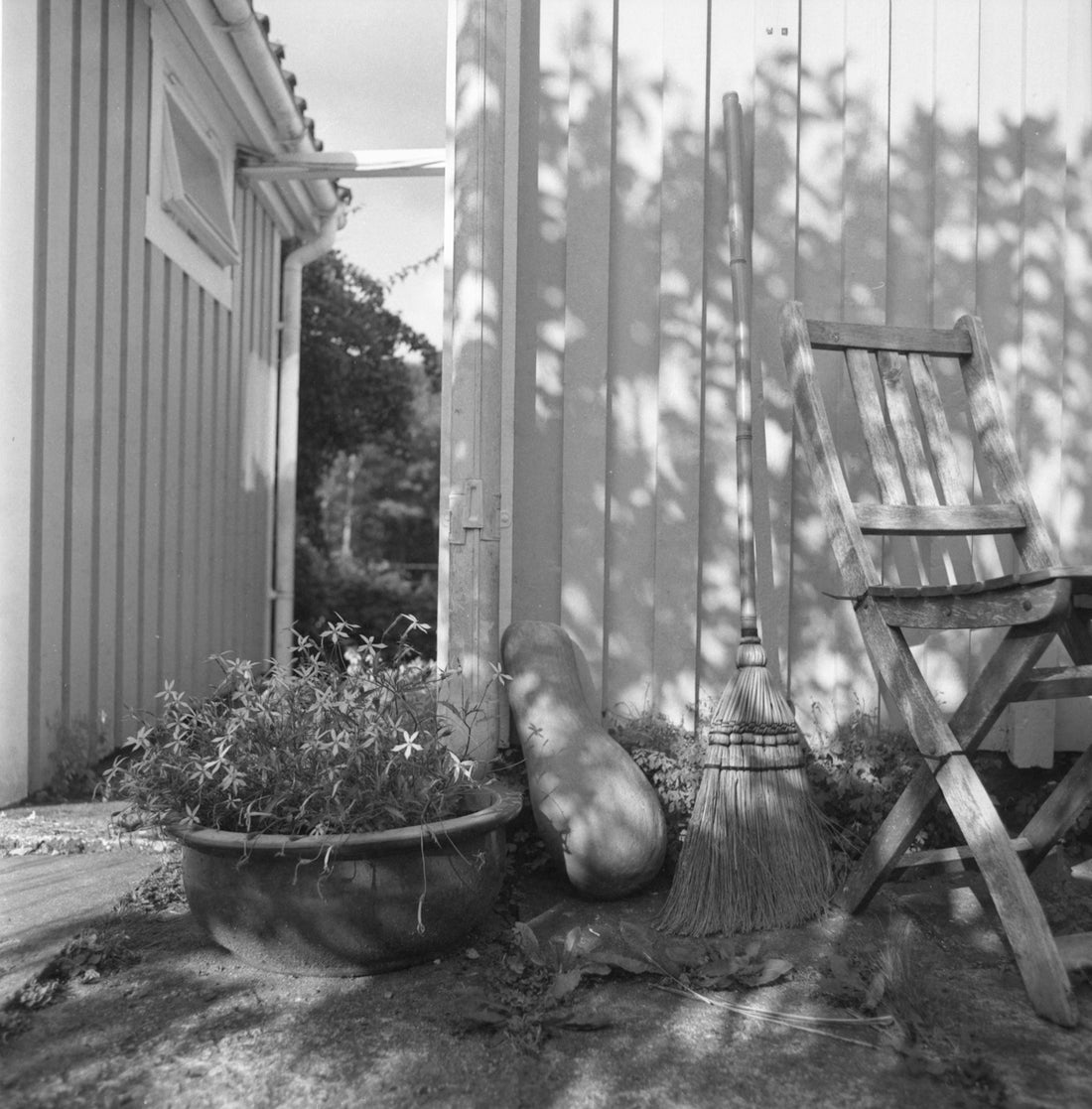 Potted flowers, broom, and wooden chair against a sunlit wall.