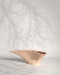Shell Planter S