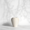 Coil S | Tabletop Decorative Planter |