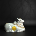 White Medium Nandi