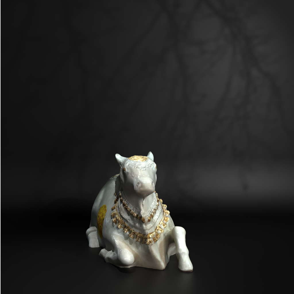 White Medium Nandi
