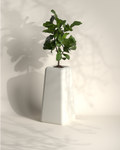 Banum Tall | Modern FRP Planter | 32 Inch