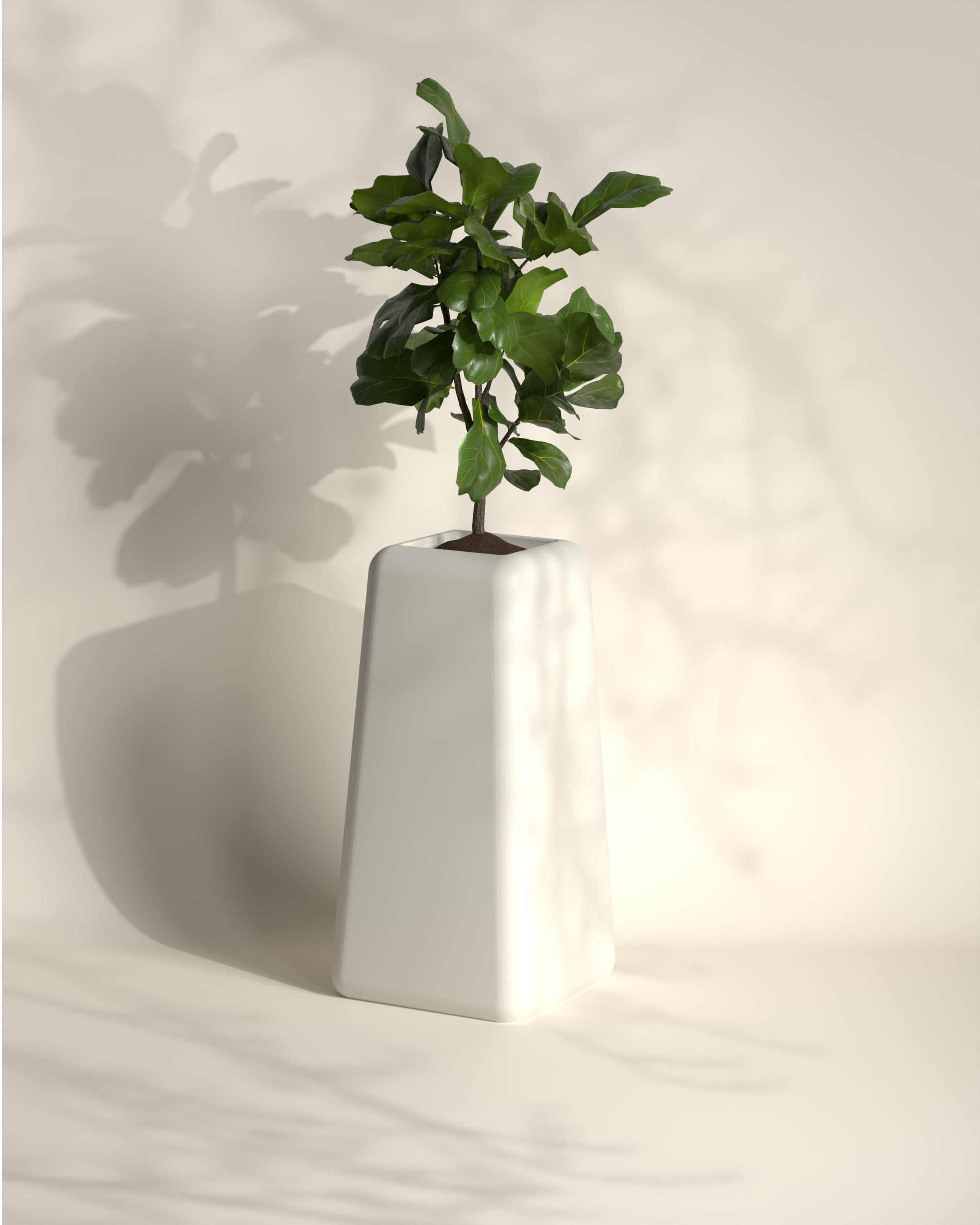 Banum Tall | Modern FRP Planter | 32 Inch
