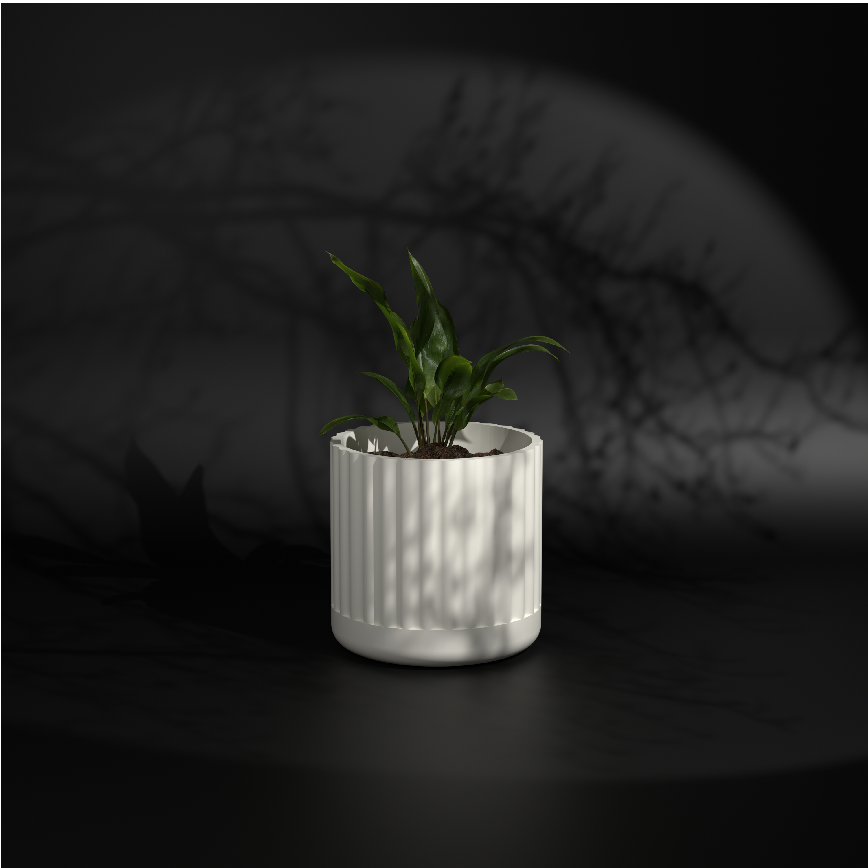 Fluted Polo L | Big Size Plant Pot | FRP Planter