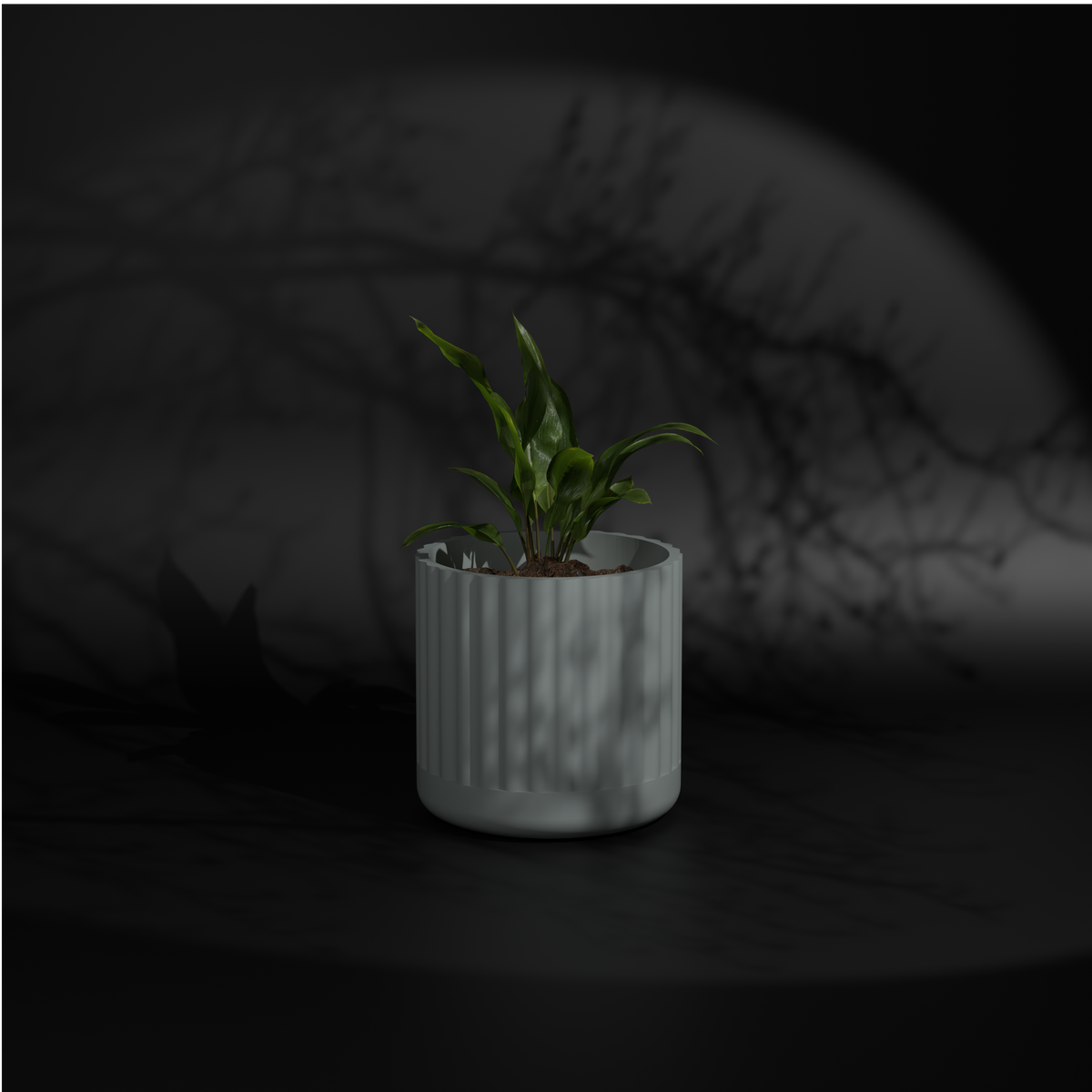 Fluted Polo L | Big Size Plant Pot | FRP Planter