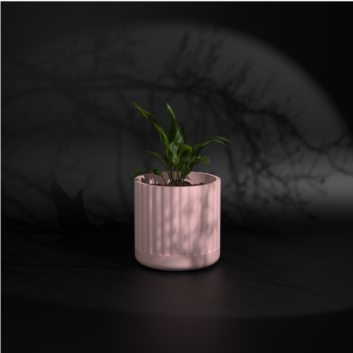 Fluted Polo L | Big Size Plant Pot | FRP Planter