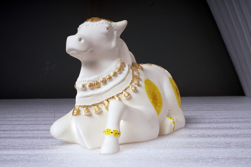 White Medium Nandi
