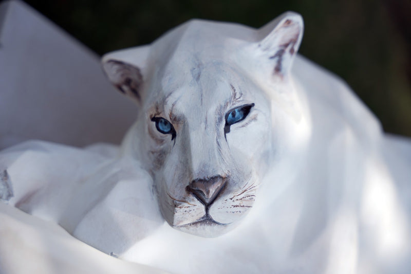 White Panther