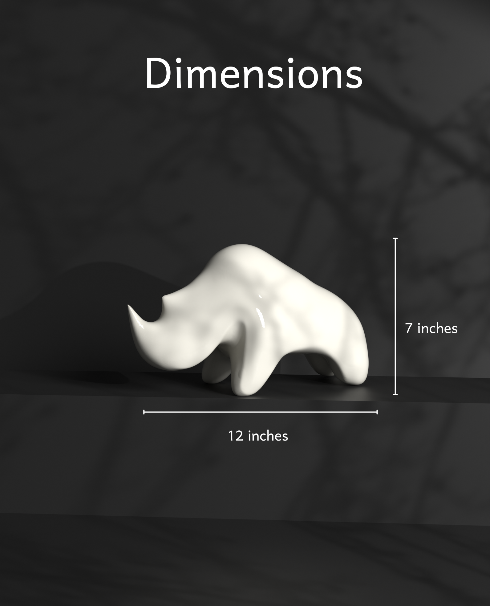 dimensions-rhino