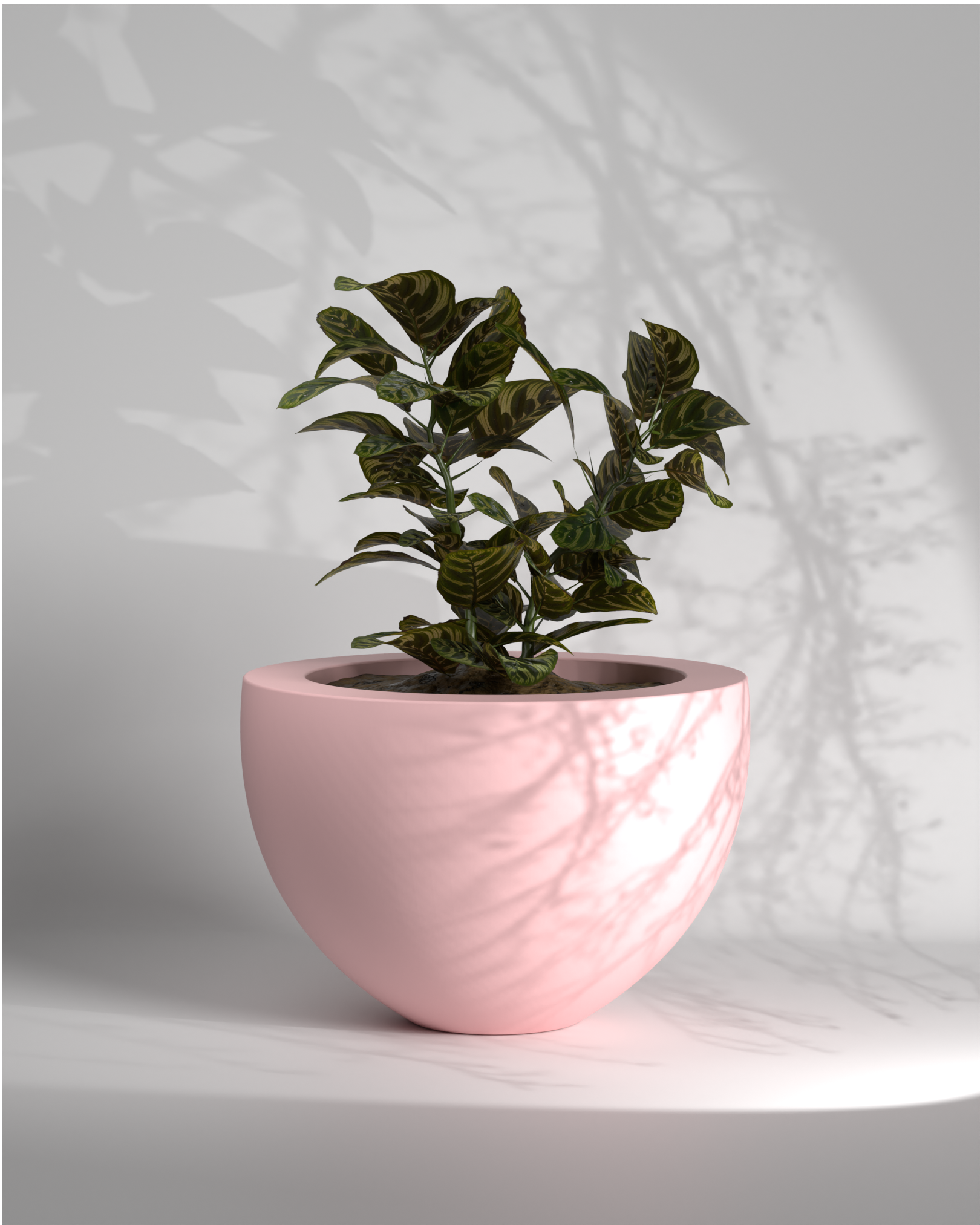 Acorn - Large planter | outdoor planter Gallery by The Workshop