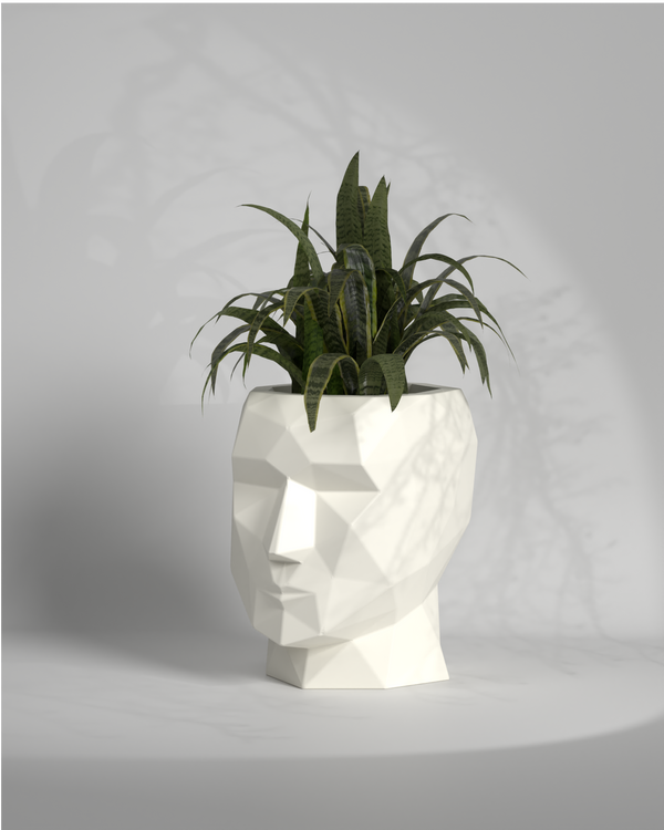 Adam L - Large planter Gallery by The Workshop