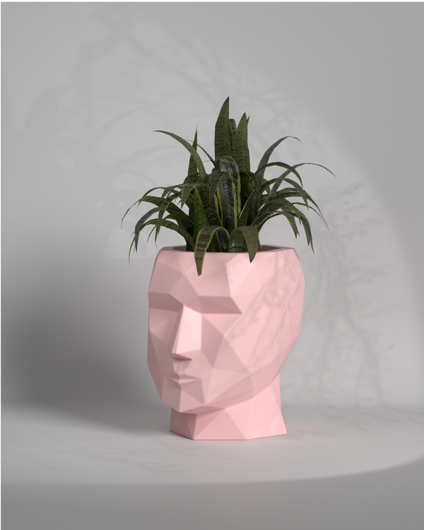 Adam L - Large planter Gallery by The Workshop