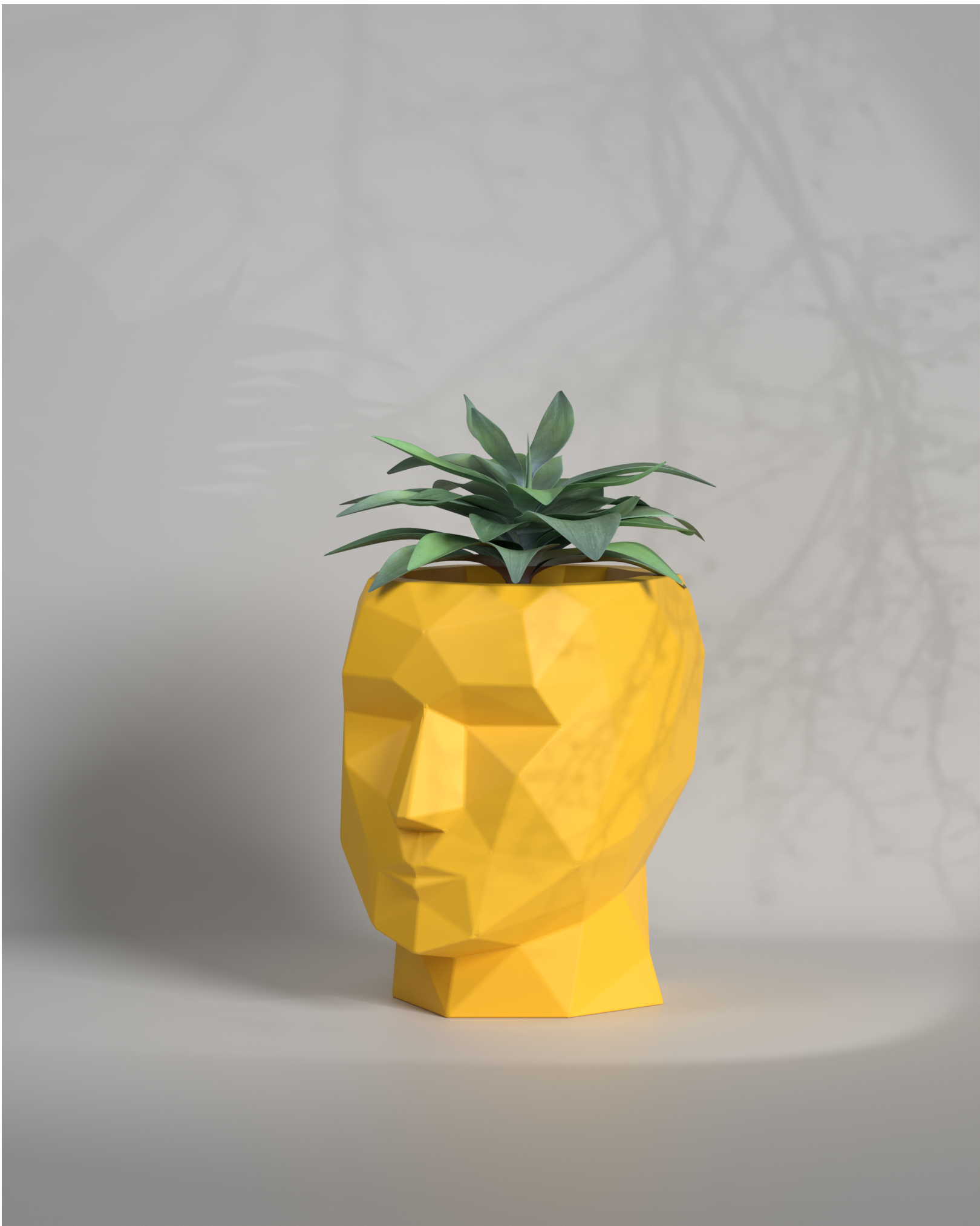 Adam S - Desktop Size Planter Gallery by The Workshop