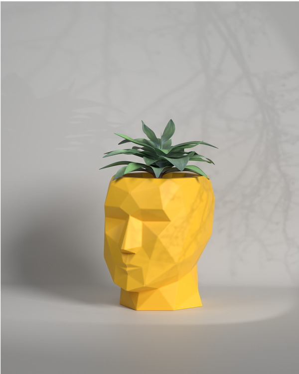 Adam S - Desktop Size Planter Gallery by The Workshop