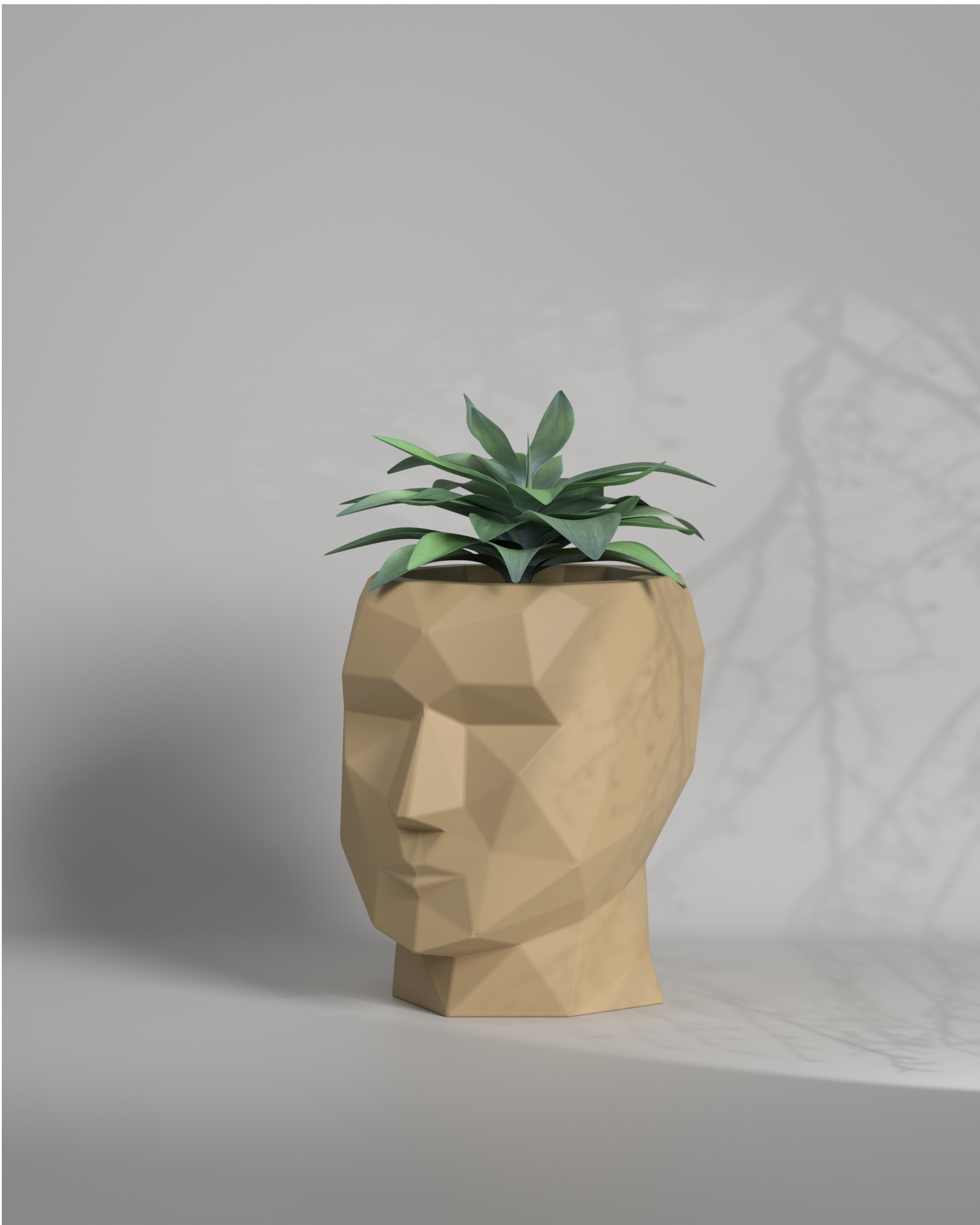 Adam S - Desktop Size Planter Gallery by The Workshop