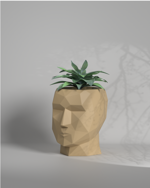 Adam S - Desktop Size Planter Gallery by The Workshop