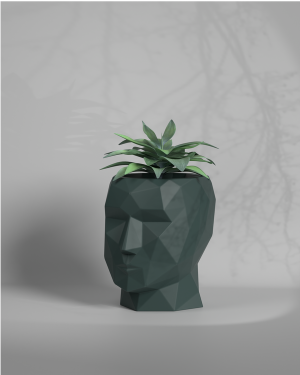 Adam S - Desktop Size Planter Gallery by The Workshop