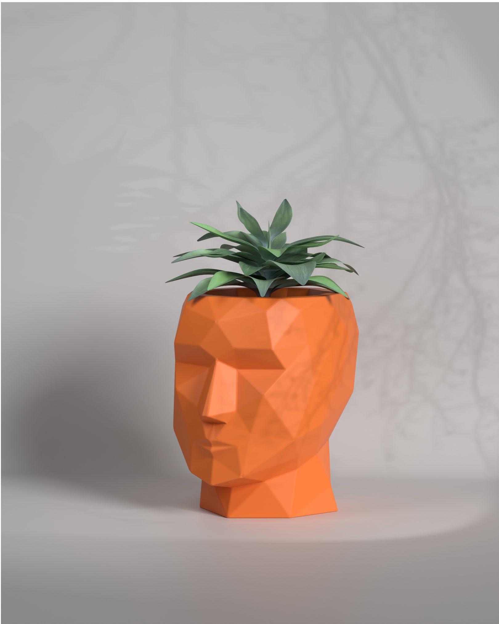 Adam S - Desktop Size Planter Gallery by The Workshop