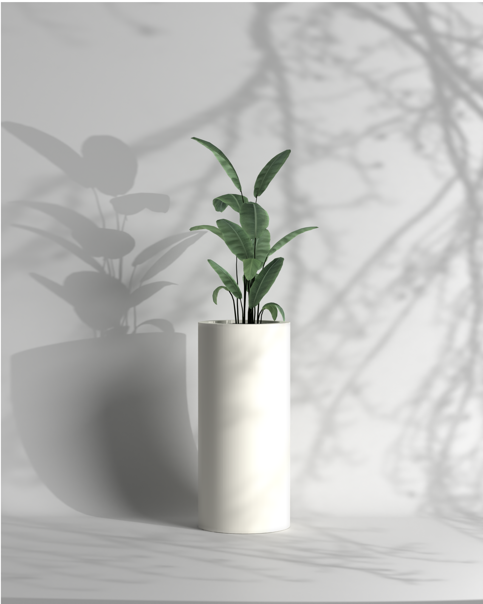 Atada L - FRP Planter for indoor and outdoor spaces