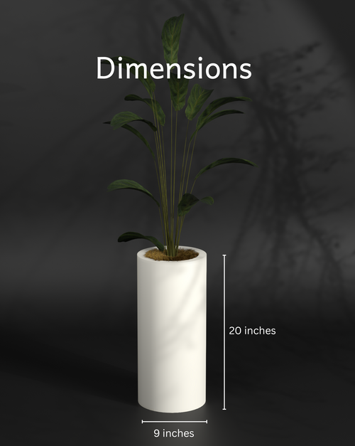 Atada L - FRP Planter for indoor and outdoor spaces Gallery by The Workshop