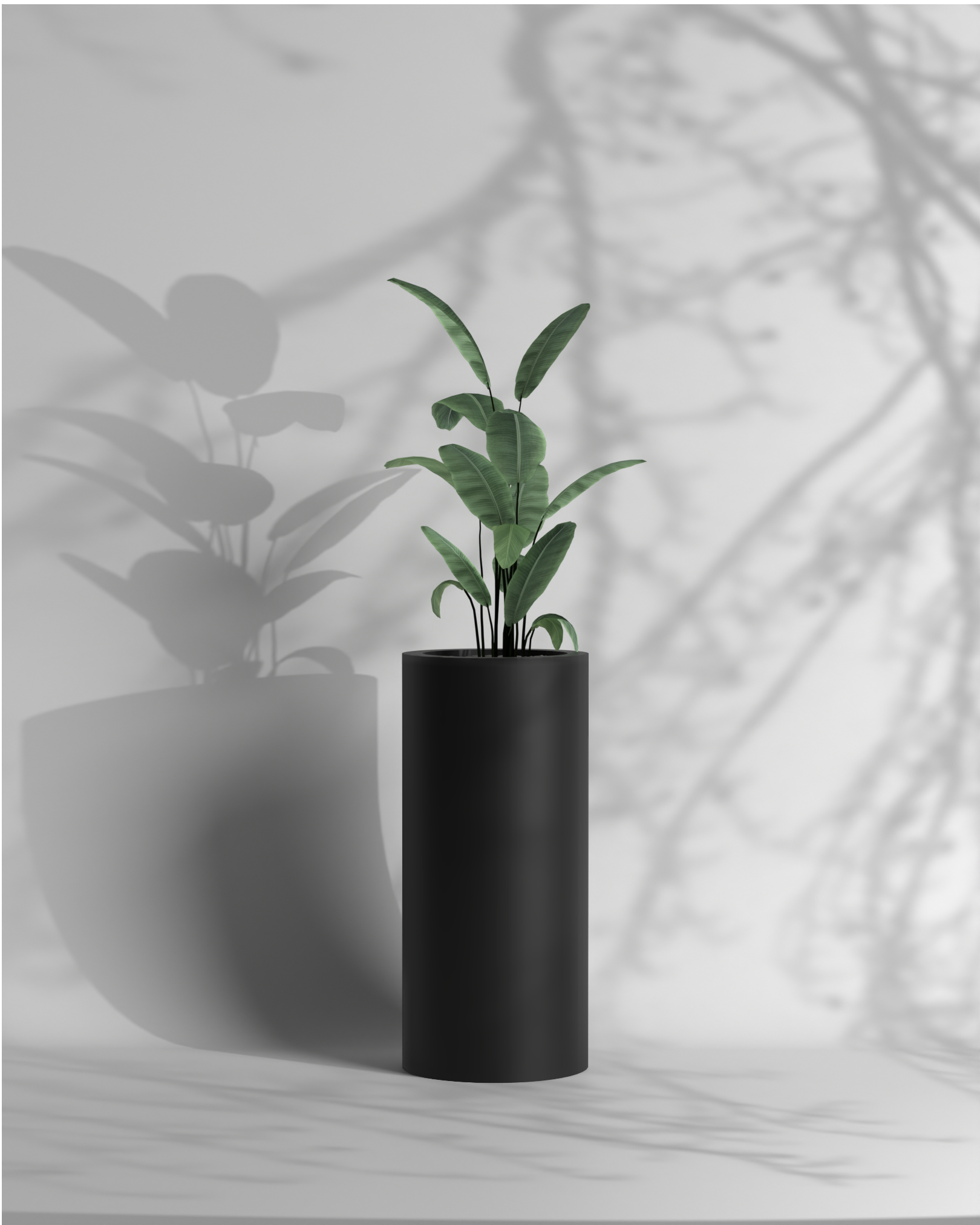 Atada L - FRP Planter for indoor and outdoor spaces Gallery by The Workshop