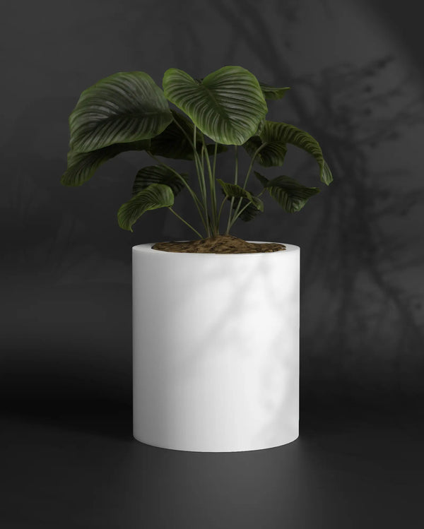 Atada M - FRP planter for indoor and outdoor Gallery by The Workshop