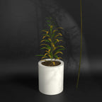 Atada S - Gallery By The Workshop, FRP planters