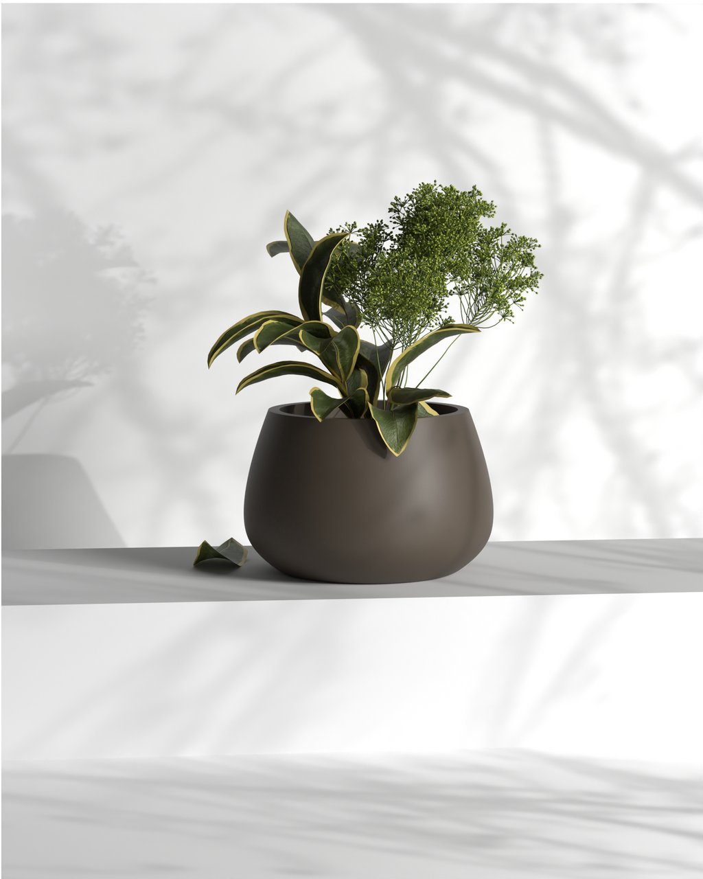 Blob L Gallery by The Workshop