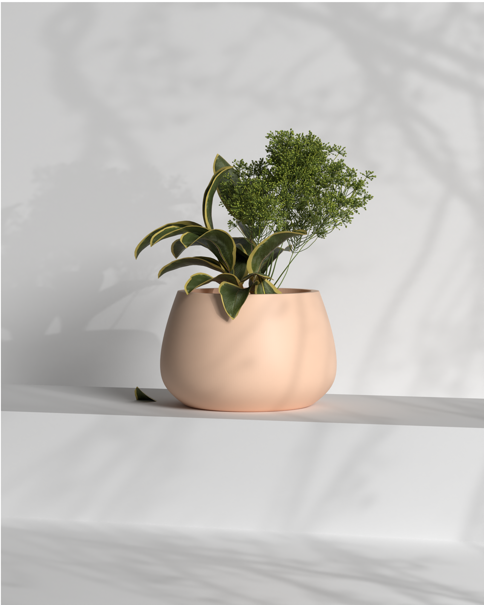 Blob L Gallery by The Workshop